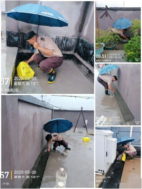 野風東港嘉苑項目物業(yè)服務中心5月第五周工作簡報（建筑物清潔服務）